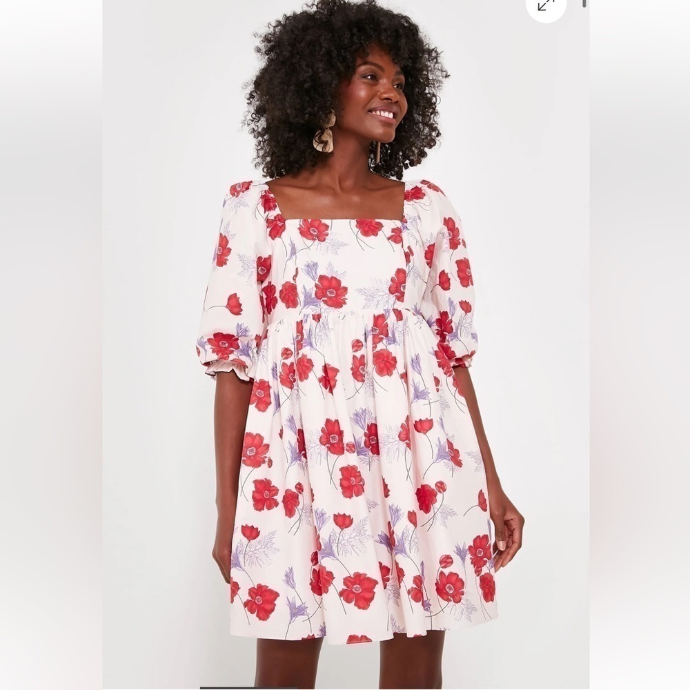 NEW Tuckernuck pink and red floral mini dress size XS